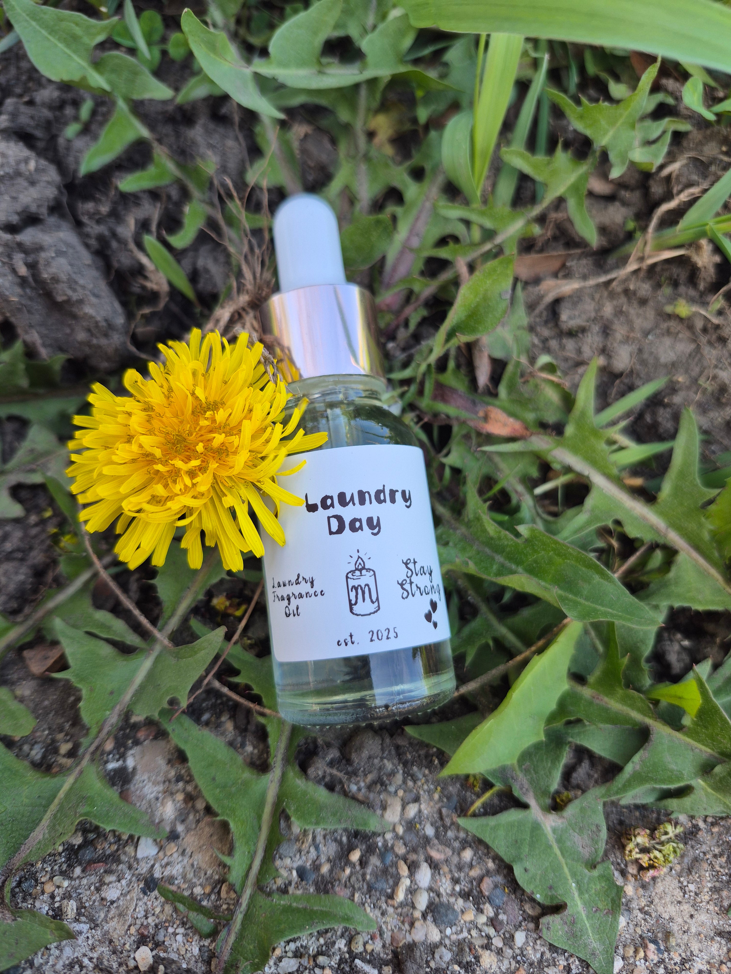 Laundry Day Fragrance Oil